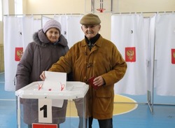 Жители губкинской территории активно голосуют на избирательных участках